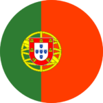 SEO in Portugal